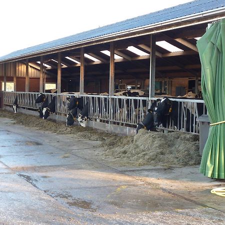 Boerderij "De Verwondering" Goudriaan Eksteriør billede