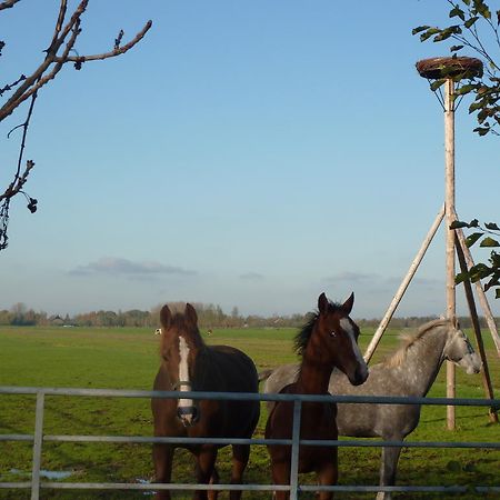 Boerderij "De Verwondering" Goudriaan Eksteriør billede