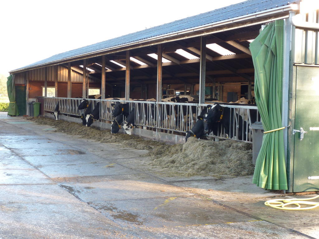 Boerderij "De Verwondering" Goudriaan Eksteriør billede