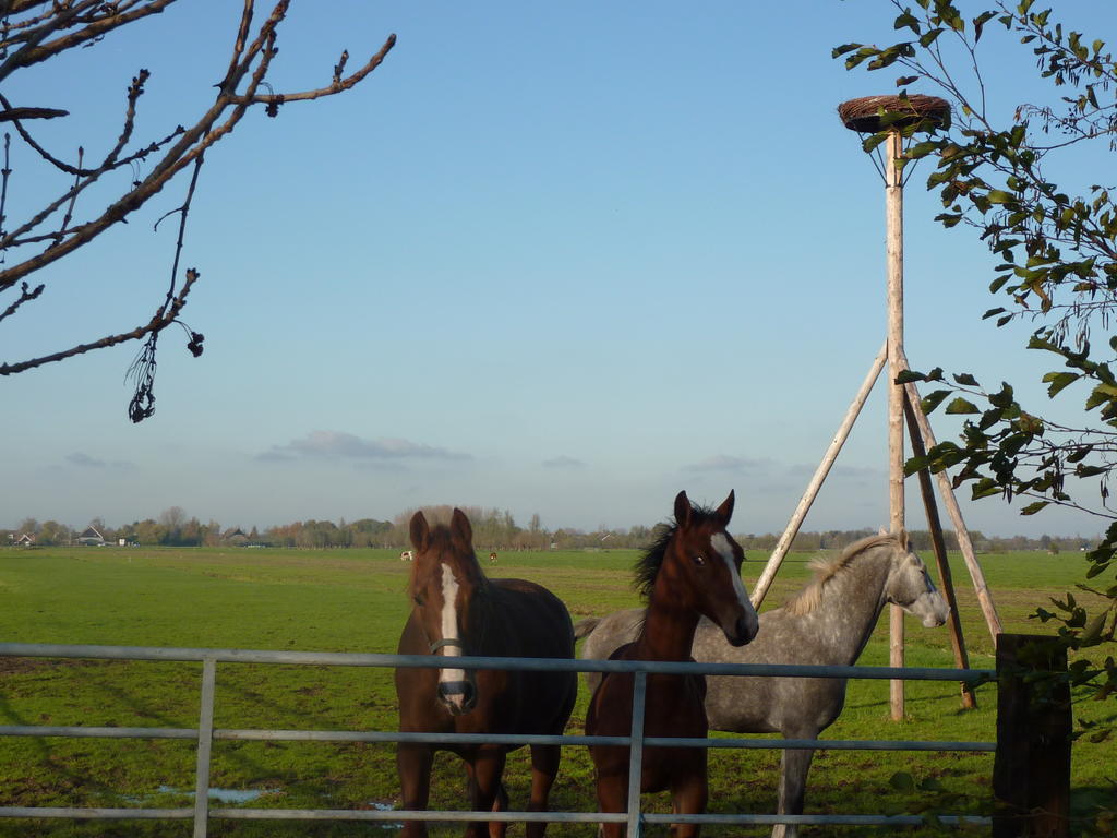 Boerderij "De Verwondering" Goudriaan Eksteriør billede