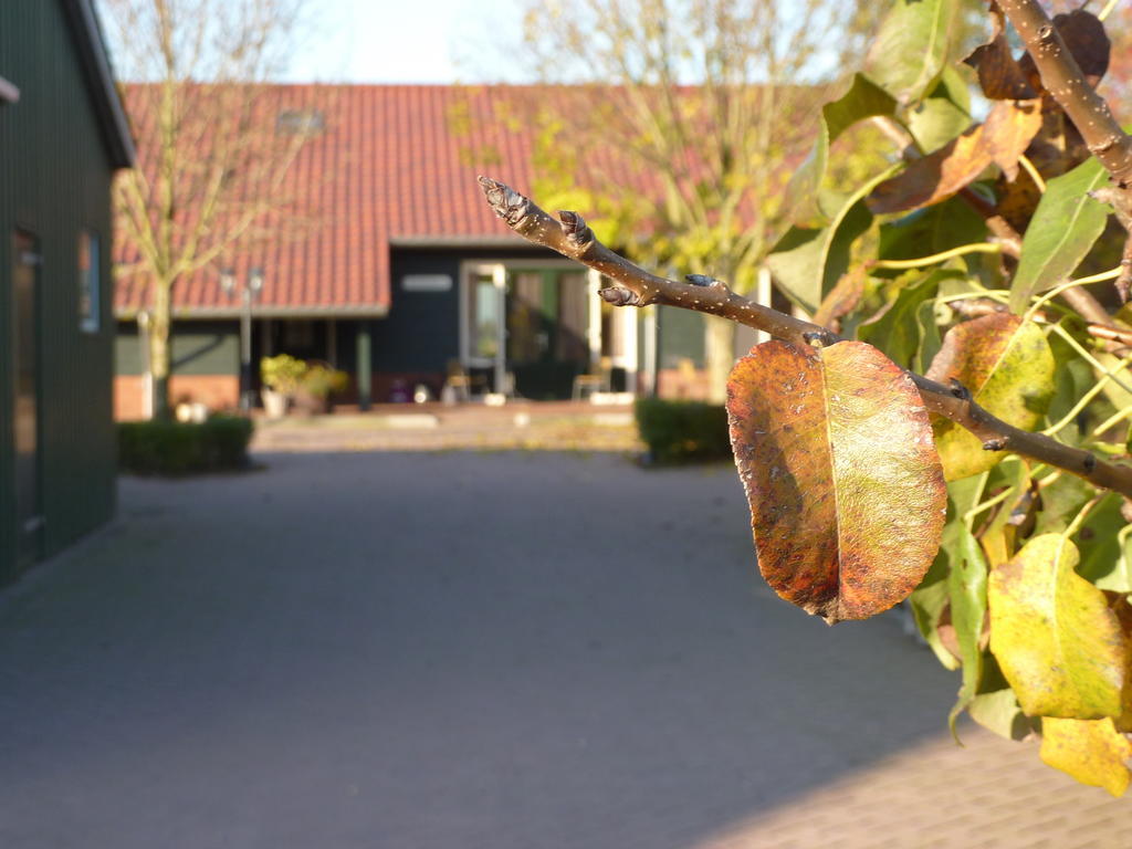 Boerderij "De Verwondering" Goudriaan Eksteriør billede