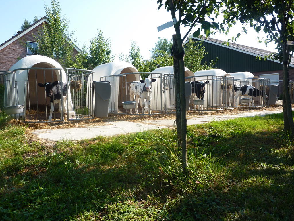 Boerderij "De Verwondering" Goudriaan Eksteriør billede