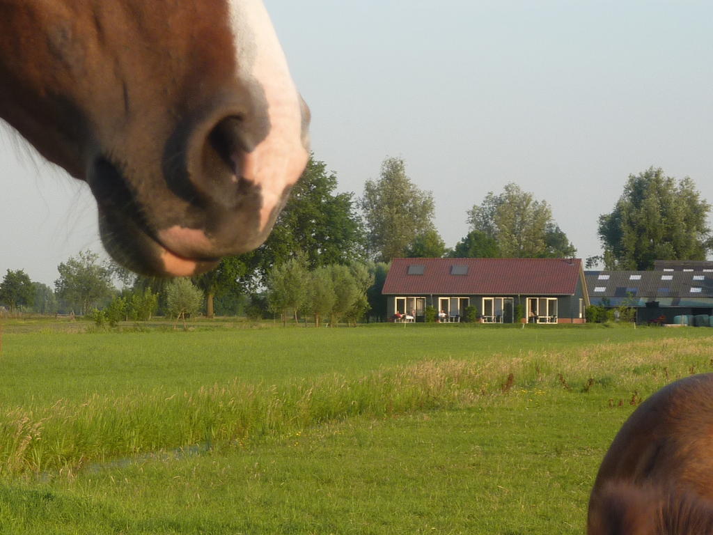 Boerderij "De Verwondering" Goudriaan Eksteriør billede